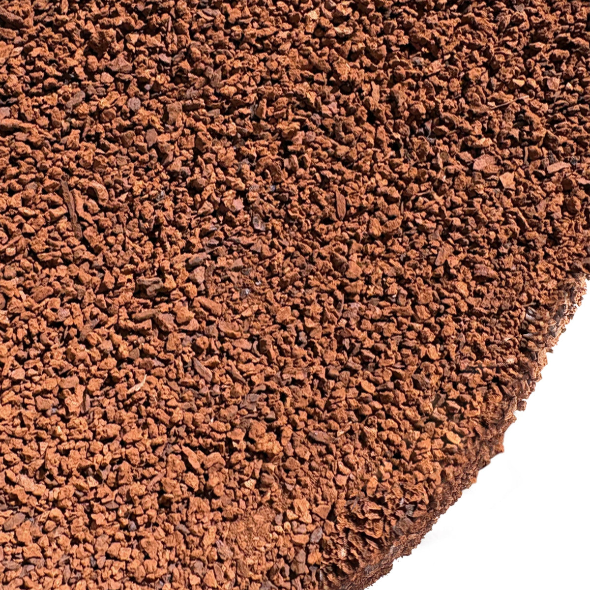 Chaga vert de Sibérie : morceaux bruts purs, poudre grossière, 142 g. Thé à base de champignons sauvages et superaliment adaptogène (Inonotus obliquus)