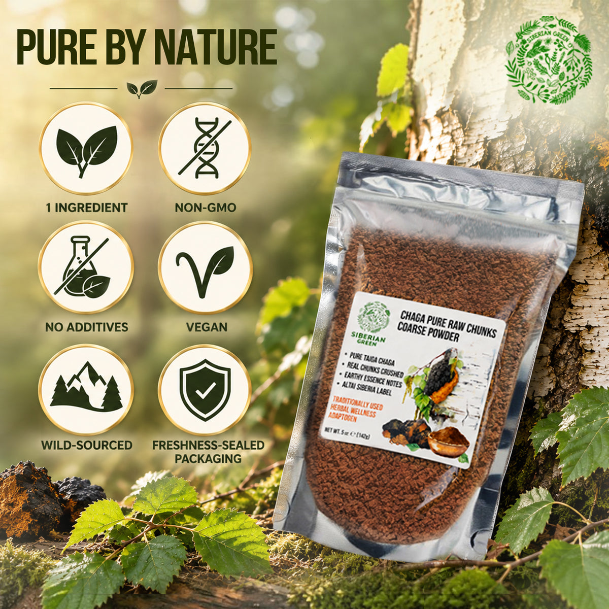 Trozos y polvo grueso de chaga silvestre siberiano 142 g – Inonotus obliquus, superalimento botánico de la UE