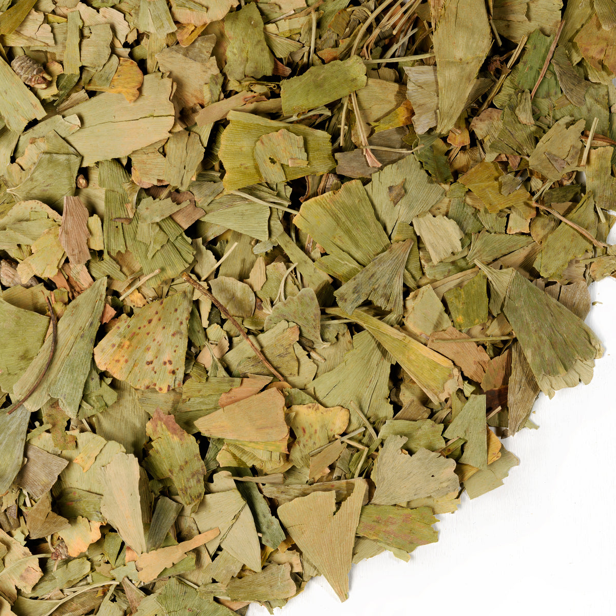 Ginkgo Biloba verde siberiano tagliato e setacciato in foglie 200g Premium Tè sfuso Biloba puro e sano Raccolto selvatico