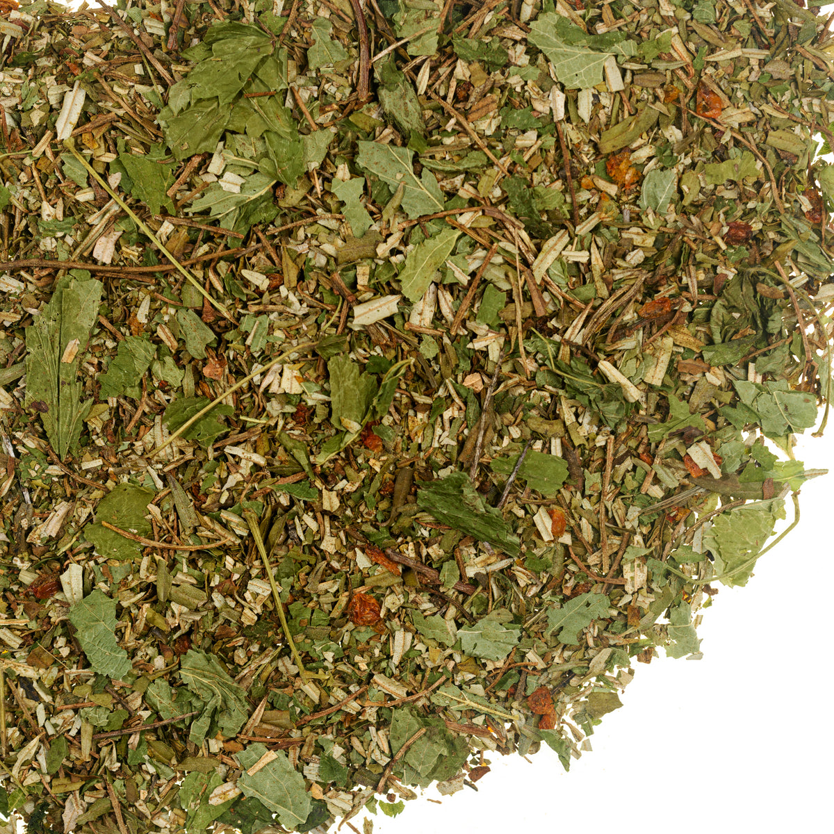 sea buckthorn leaves 