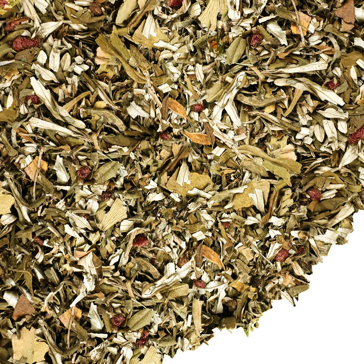 Siberian Green Sea Buckthorn & Black Currant Leaf Tea – 100g Sun-Dried Herbal Blend