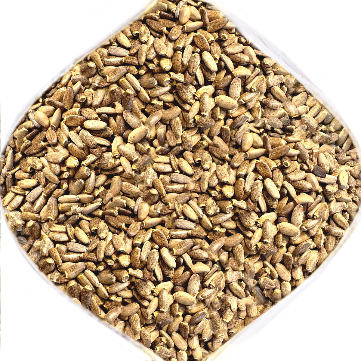 Graines entières séchées de chardon-Marie de Sibérie (Silybum marianum) – riches en antioxydants – 340 g (12 oz)
