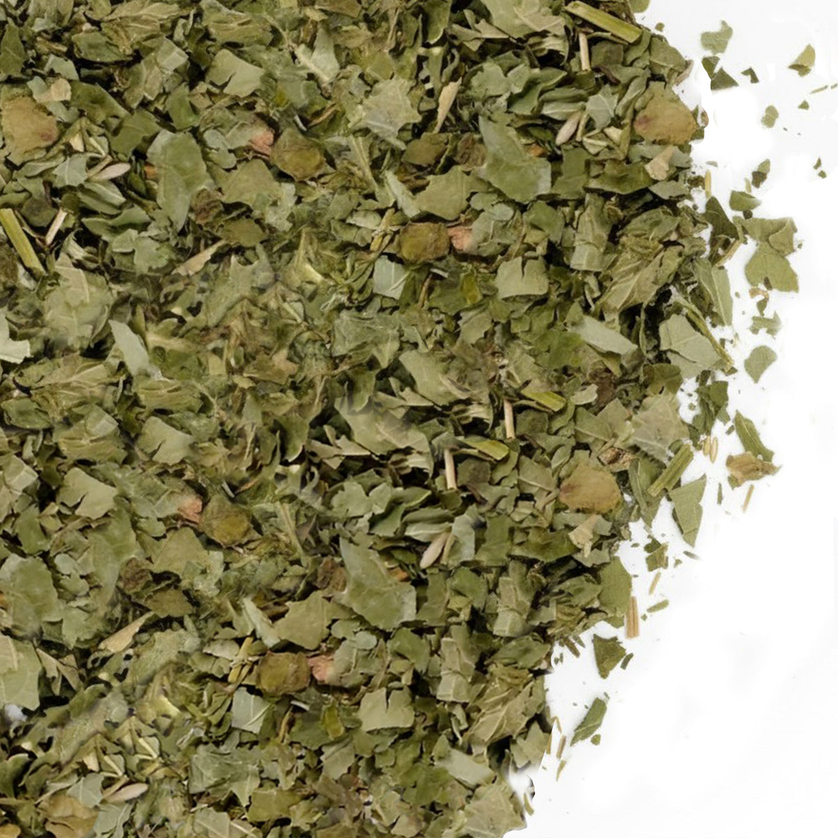 Thé en vrac aux feuilles de cassis de Sibérie, coupées et tamisées, 85 g (3 oz) – Ribes nigrum sauvage – Soutien immunitaire et bien-être