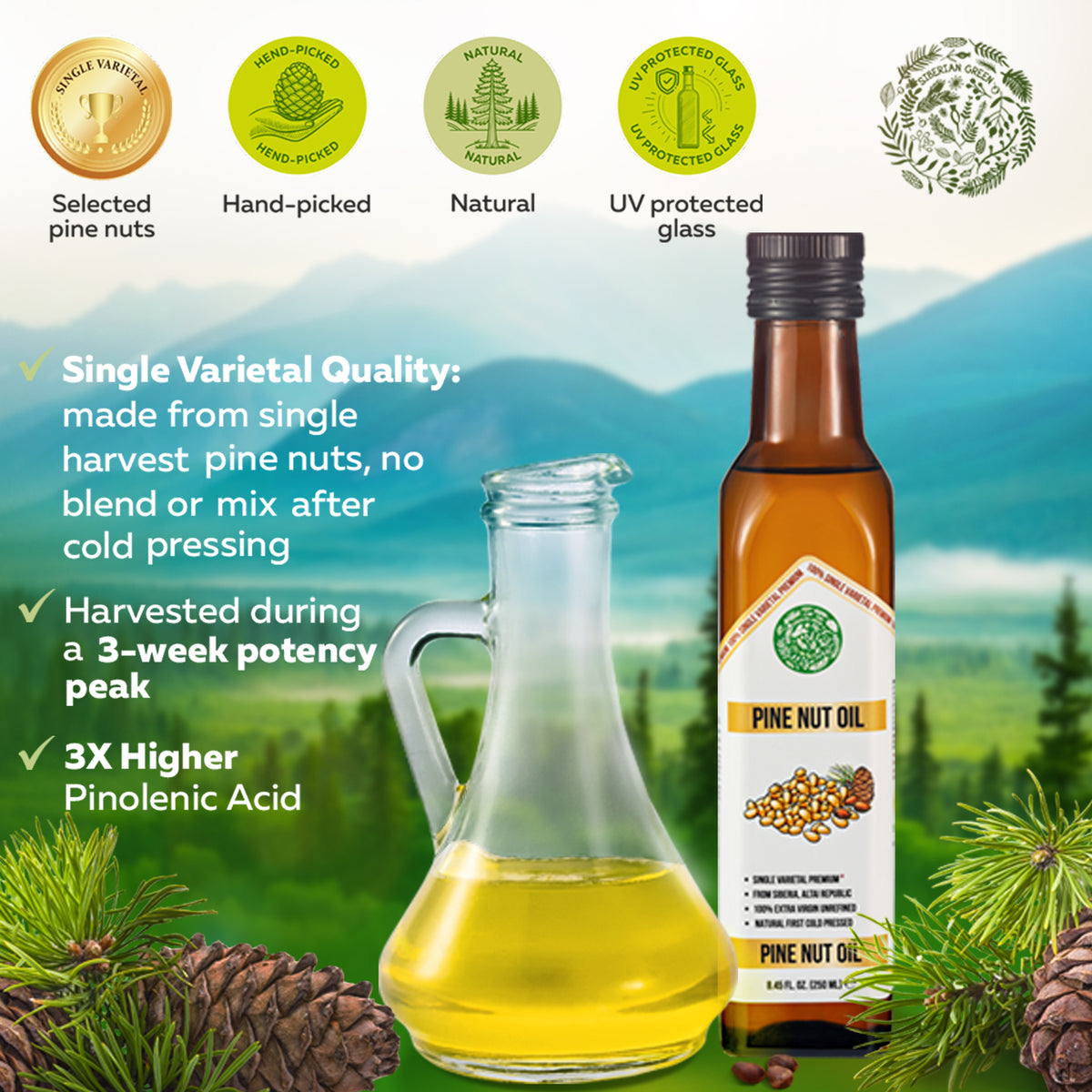Siberian Green Organic Pine Nut Oil - Pressée à froid - Bouteille en verre de 250ml