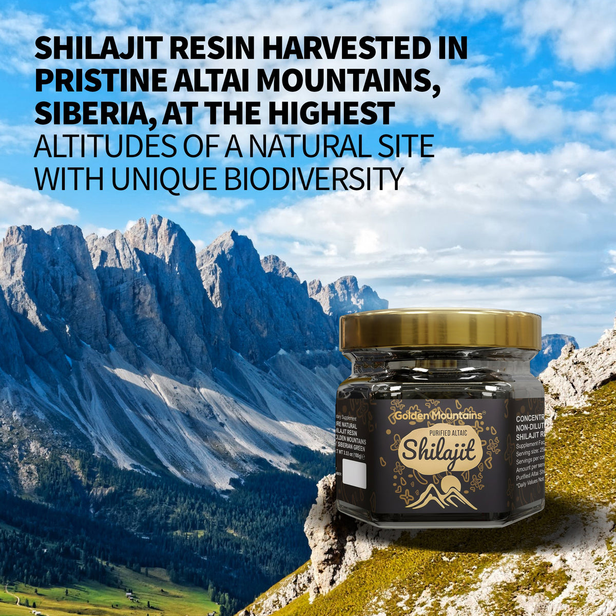Golden Mountains Shilajit Resin – Pure Altai Siberian Power