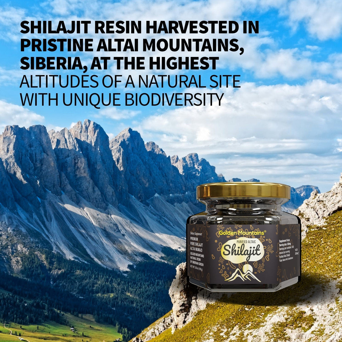 Golden Mountains Shilajit Harz Premium Pure Authentic Siberian Altai 100g - Messlöffel - Exklusives Qualitätszertifikat